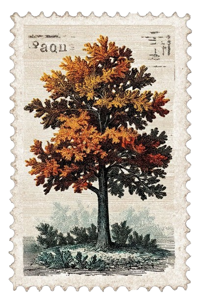 stamp
