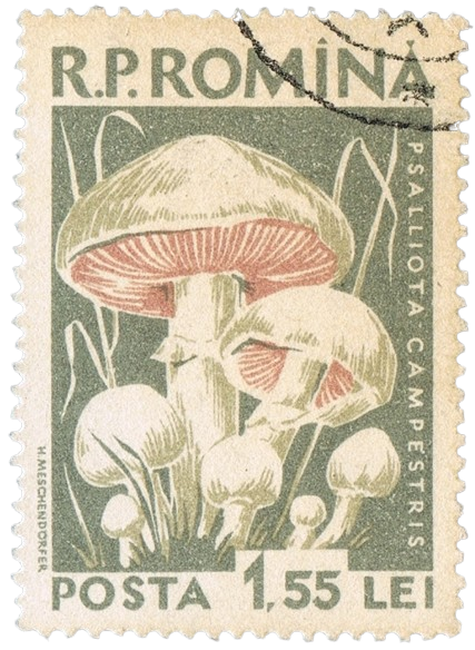 stamp