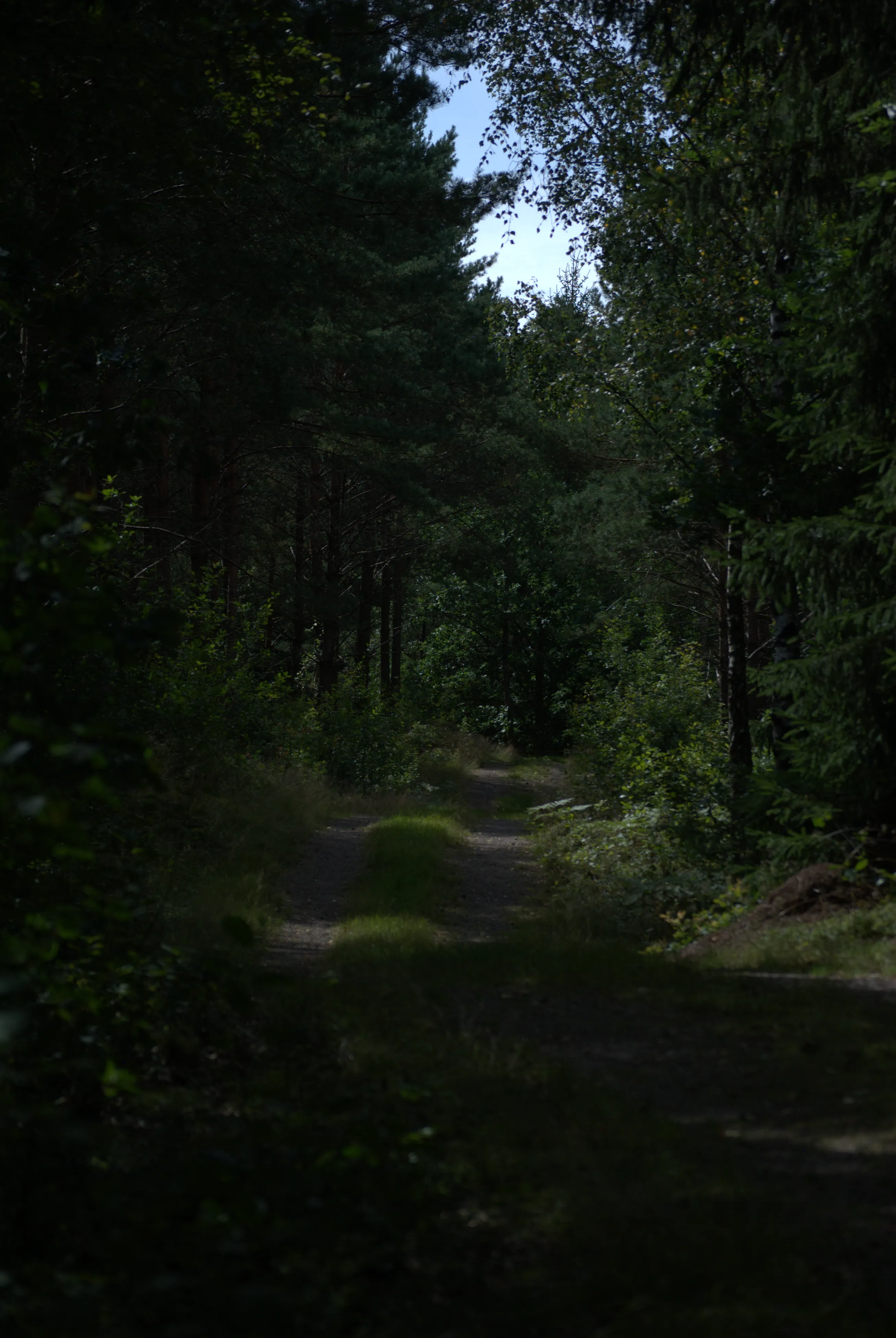Image 10 sverige2024