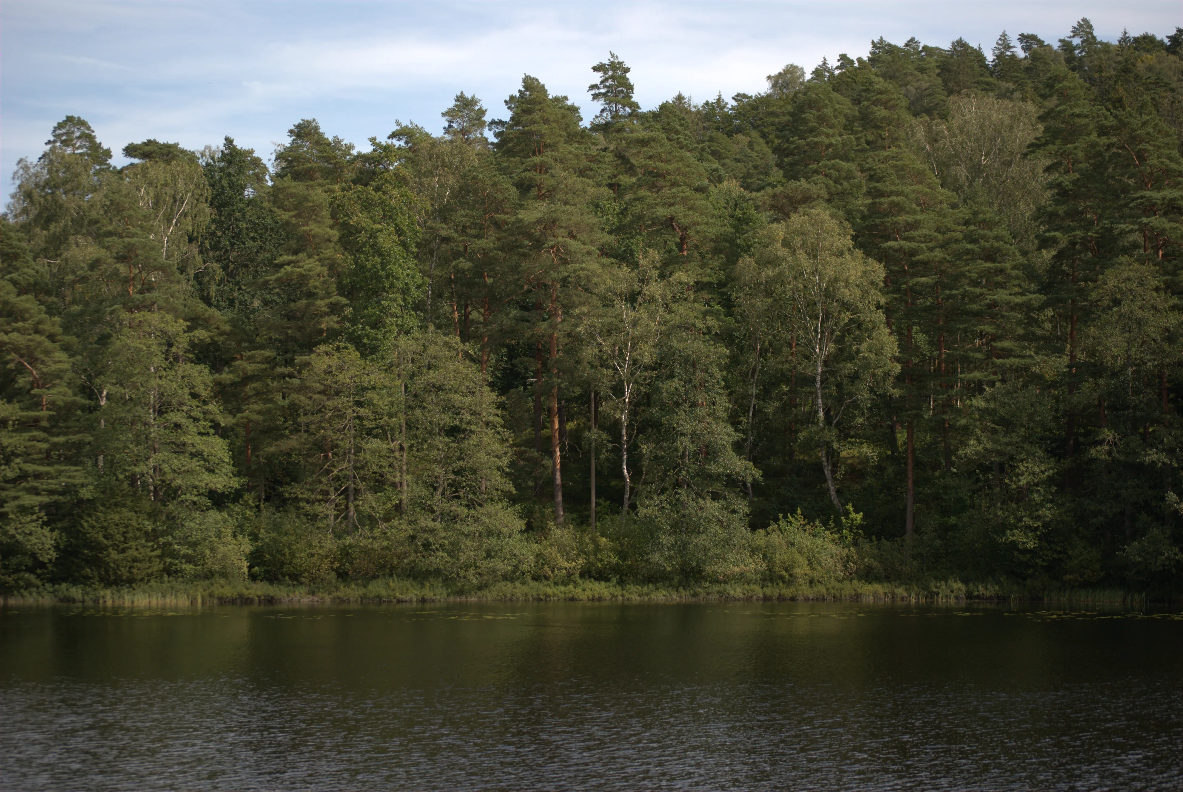 Image 11 sverige2024