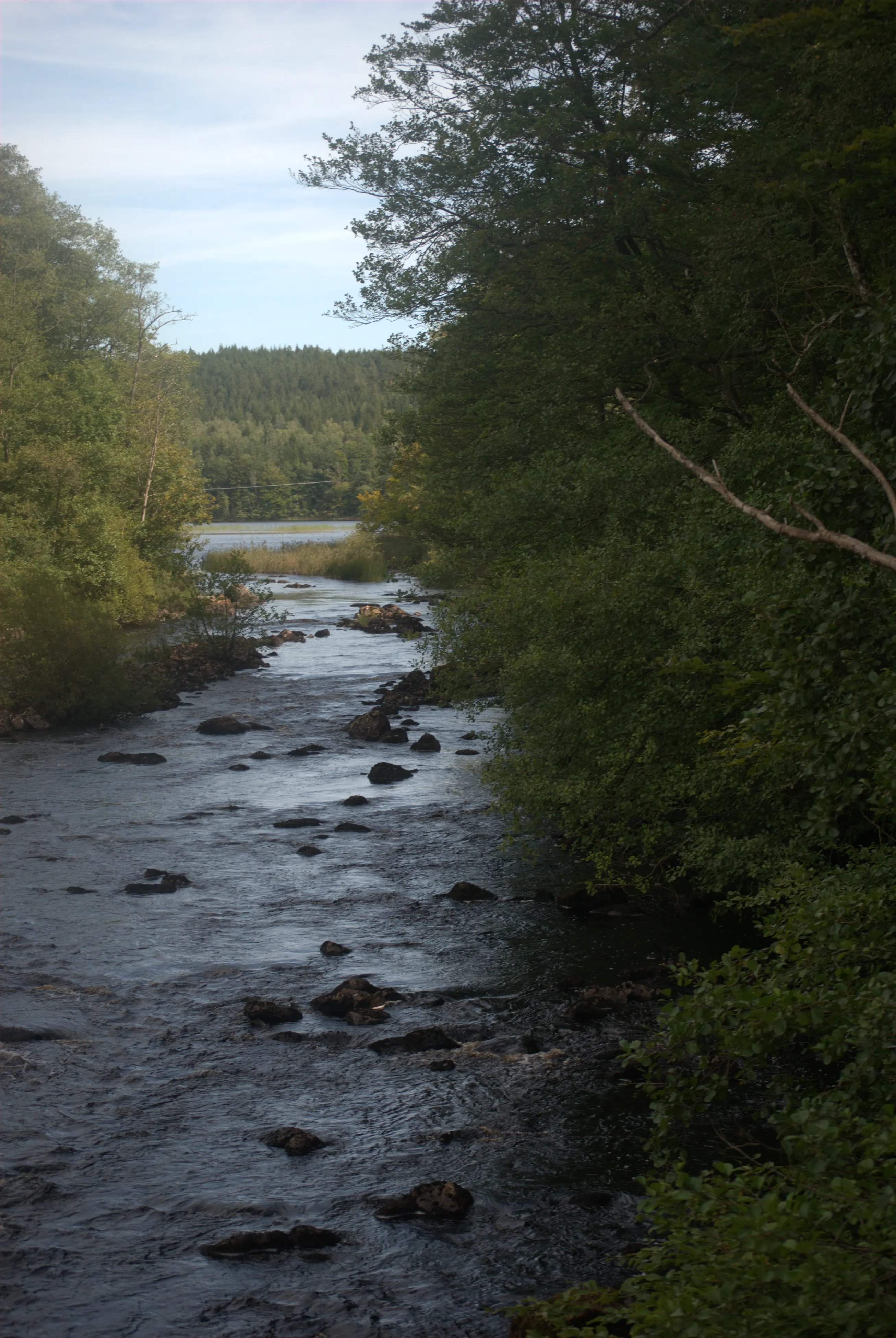Image 14 sverige2024