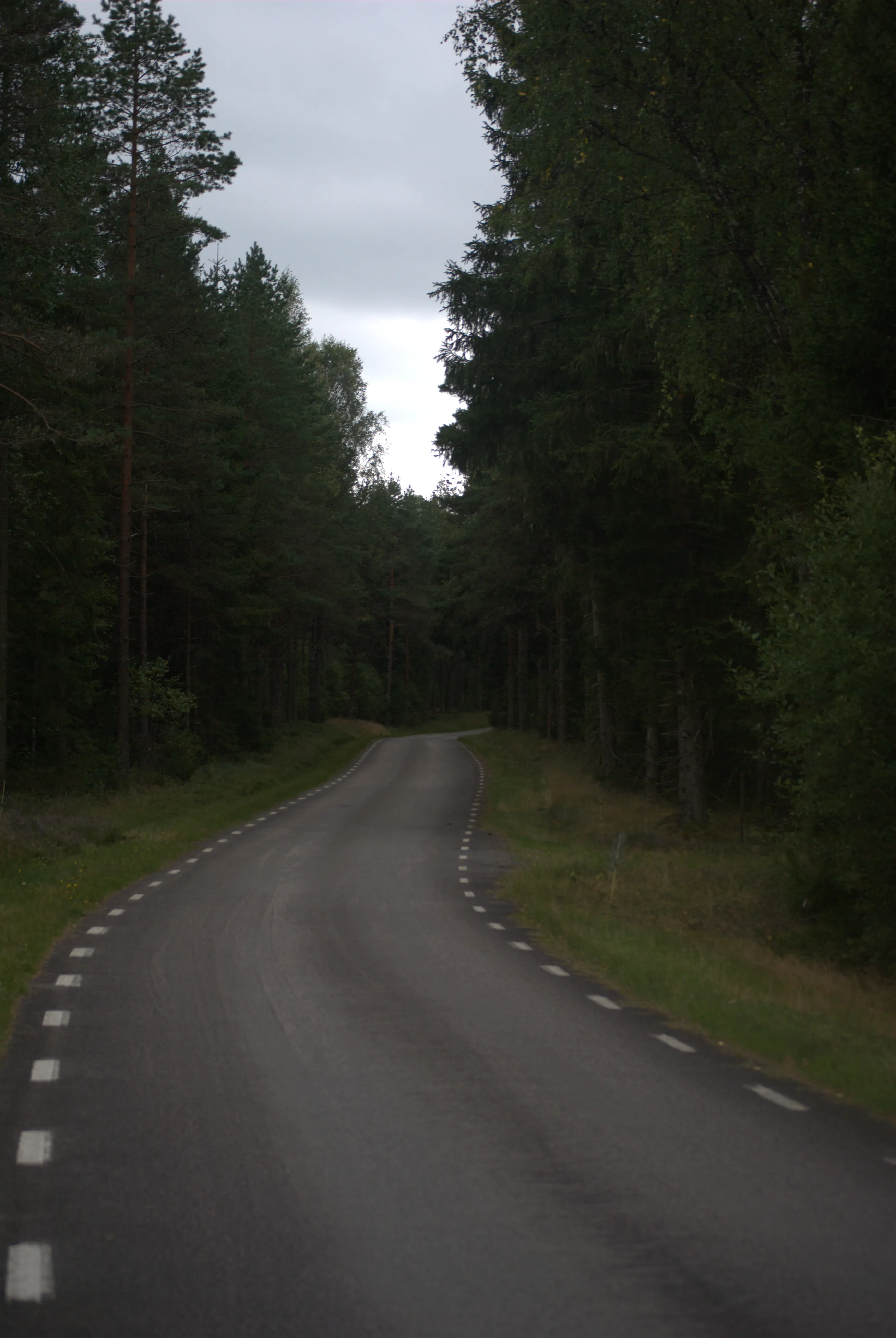 Image 16 sverige2024