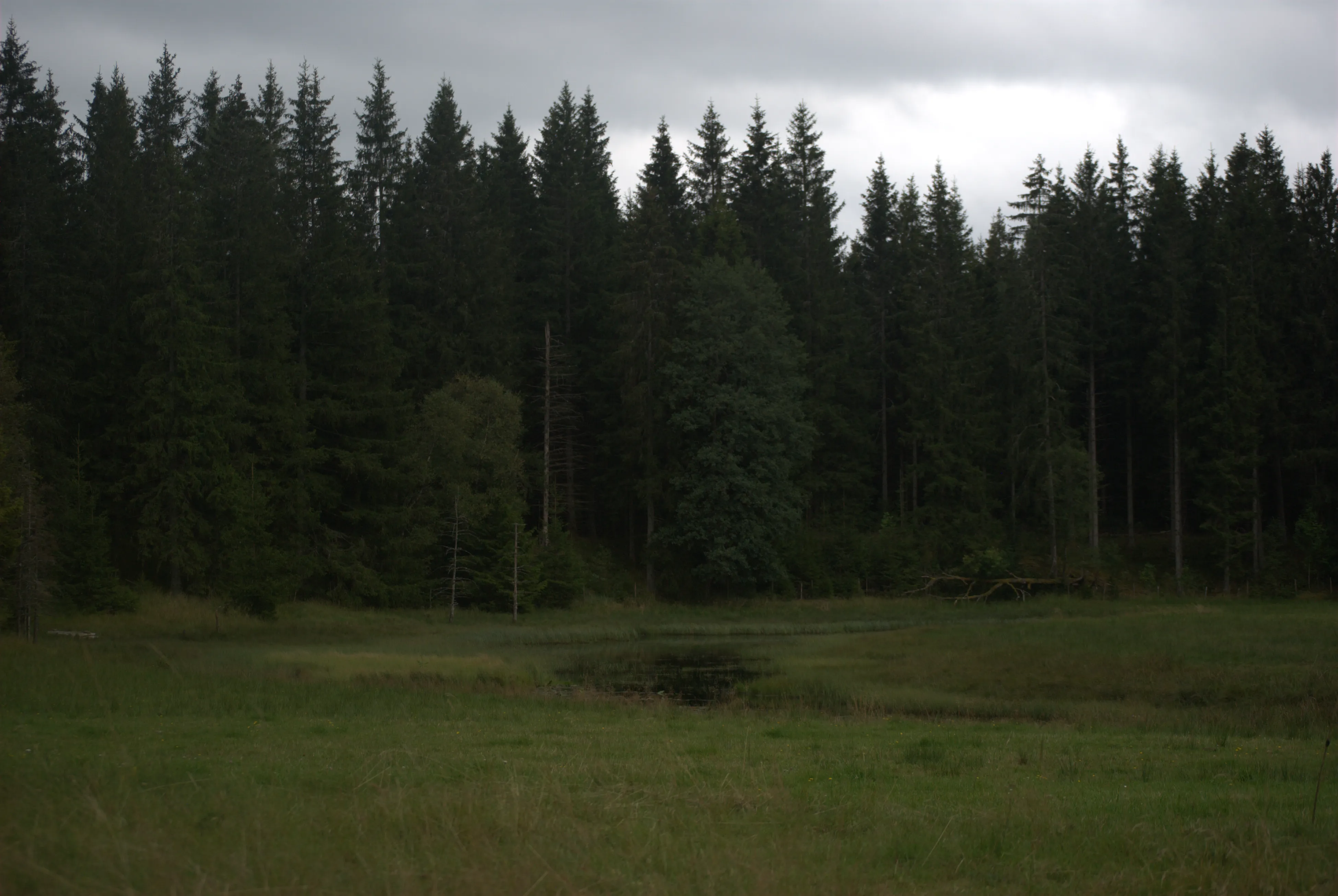 Image 17 sverige2024