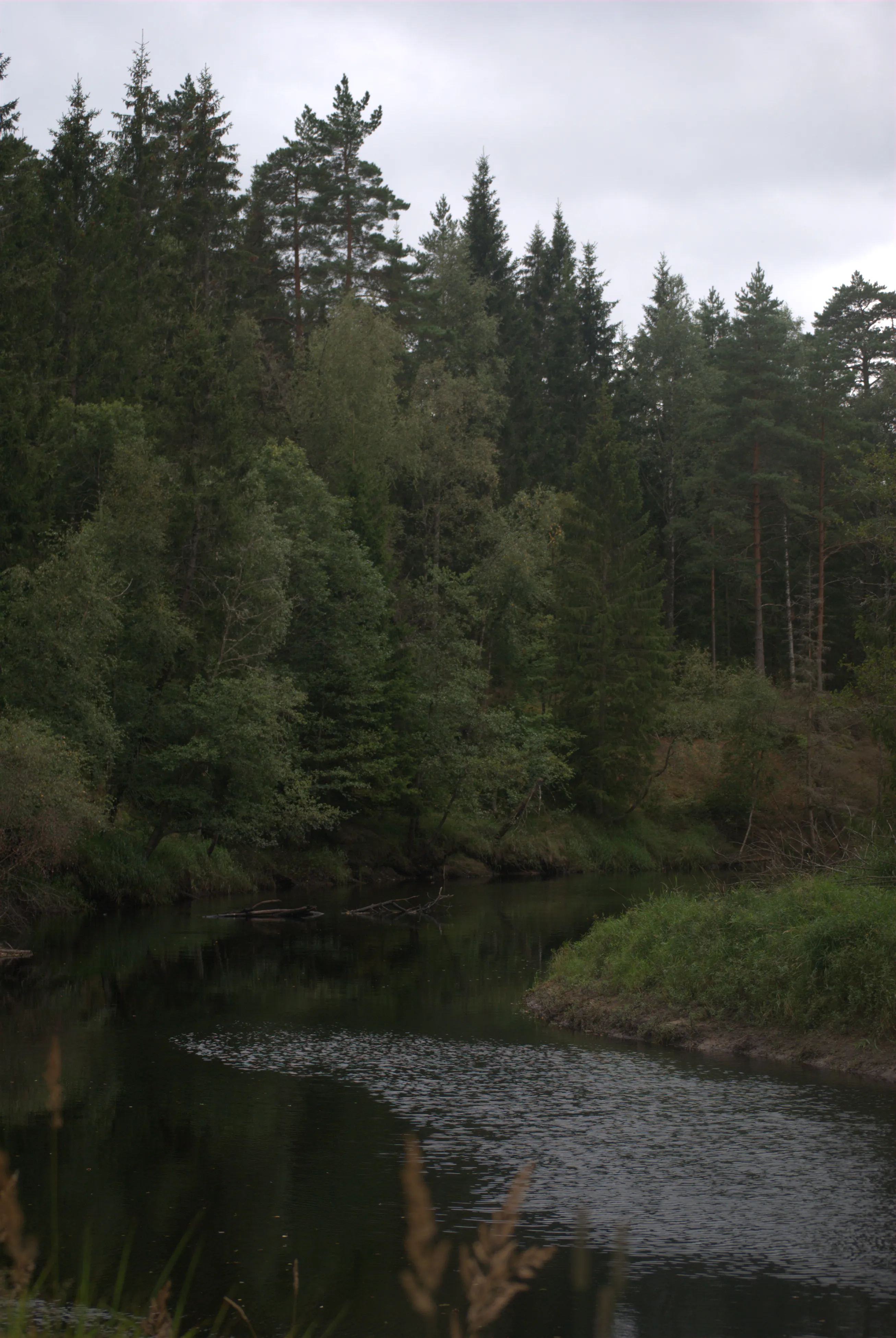 Image 18 sverige2024