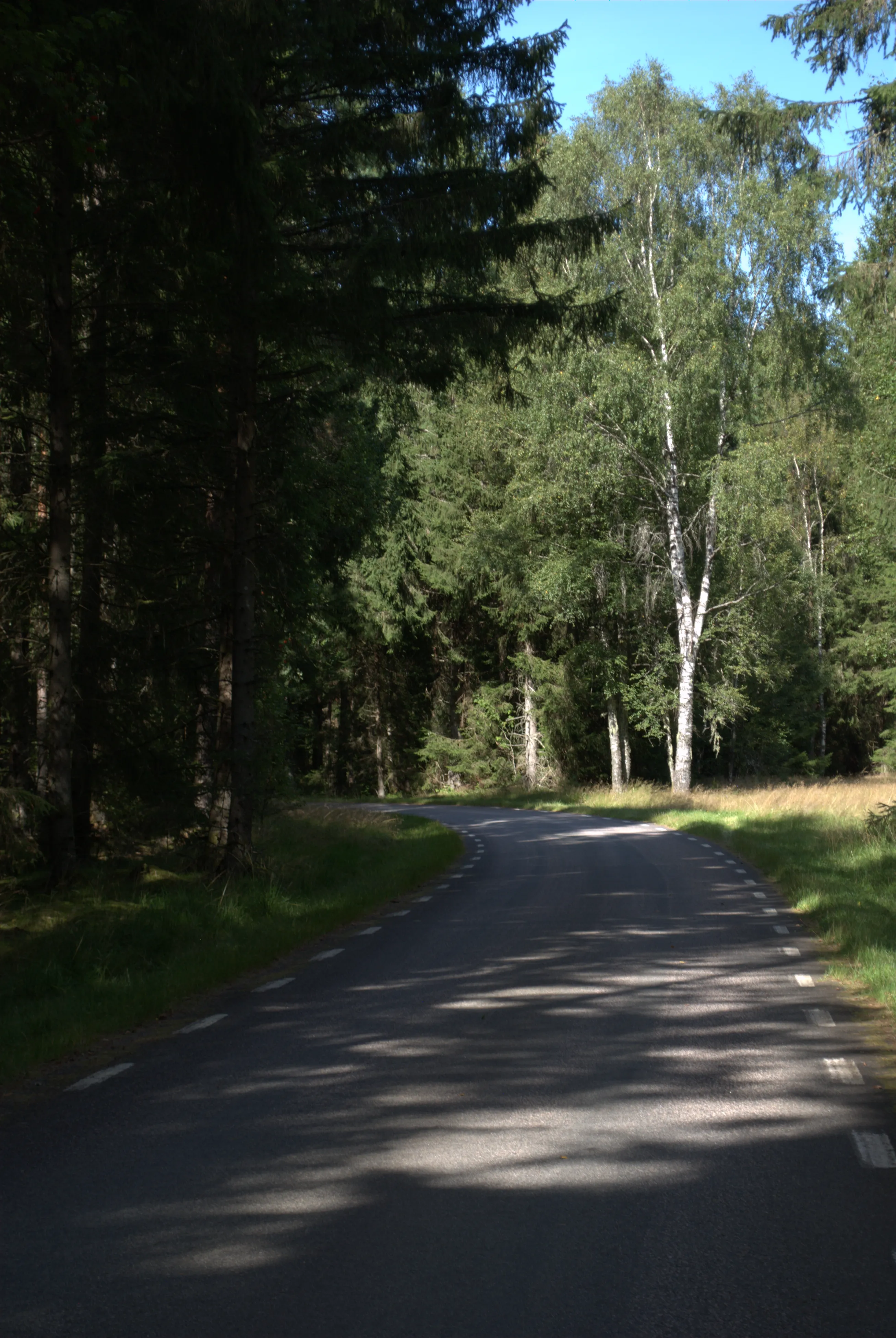 Image 9 sverige2024